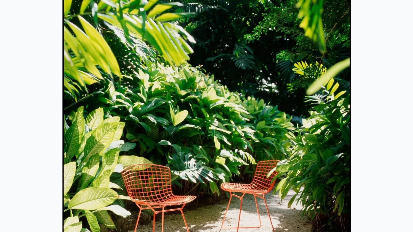 Sedia Bertoia Side Chair Outdoor di Knoll